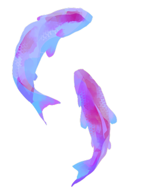 fixed width img